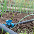 The Power of Drip Irrigation Systems: A Complete Guide for Do-It-Yourself Gardeners