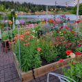 Creating a Cutting Garden: Tips and Techniques for Fresh Flowers