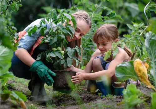 10 Natural Pest Deterrents for Your DIY Garden
