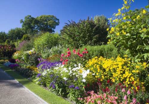 Perennial vs Annual Flowers: Which is Right for Your DIY Garden?